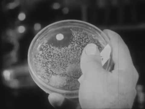 Science - Scientific Method (Encyclopedia Britannica)