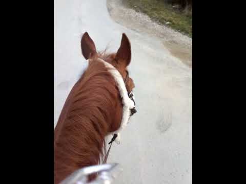 Plejbi 😍 žuri doma na večeru.