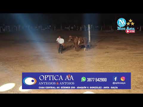 Festival de Doma y Folklore "Finca San Jorge - Taco Pozo - Chaco"
