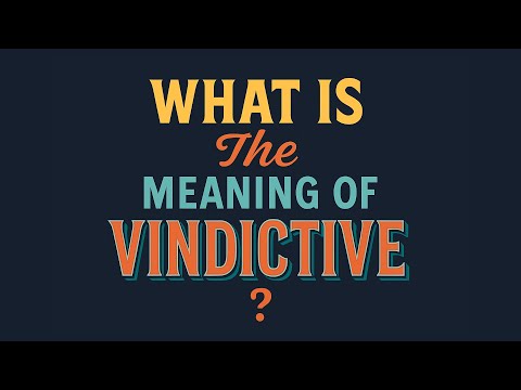 What is the meaning of Vindictive?