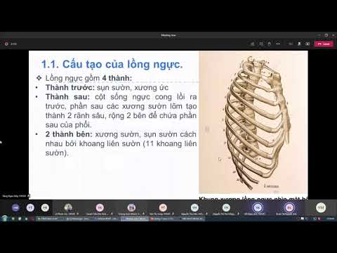 Módulo Hô Hấp-Case lâm cantou 1 canal 1