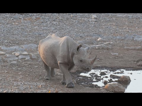 Namibia 2019 4K
