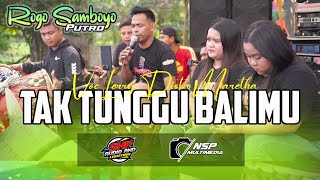 Download lagu Tak Tunggu Balim  ROGO SAMBOYO PUTRO  Voc Lerry Mahesa Feat Maretha dan Dista Live Plemahan mp3