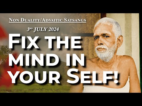 689. Bhagavan Ramana Satsang - Fix the mind in your Self!