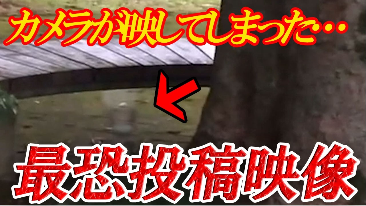 【激恐怖映像】カメラが映してしまった…最恐投稿映像！