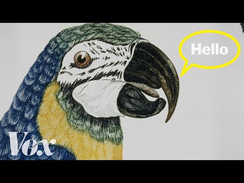 How Can Parrots Speak Like Humans?