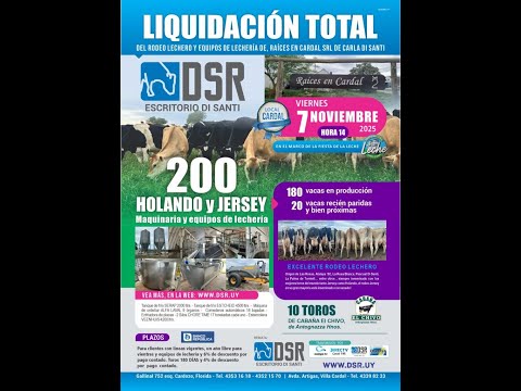 REMATE - Di Santi - MARCO DE LA FIESTA DE LA LECHE -  Local Cardal.