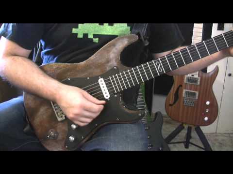 Chapman Guitars ML1 Custom - "Autumn" by Mablung (Warning contains bad language)