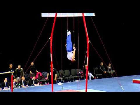 DANIEL PURVIS - RINGS - 2013 BRITISH CHAMPS - APPARATUS FINALS