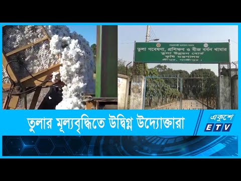 তুলার হঠাৎ মূল্যবৃদ্ধিতে উদ্বিগ্ন পোশাক খাতের উদ্যোক্তারা