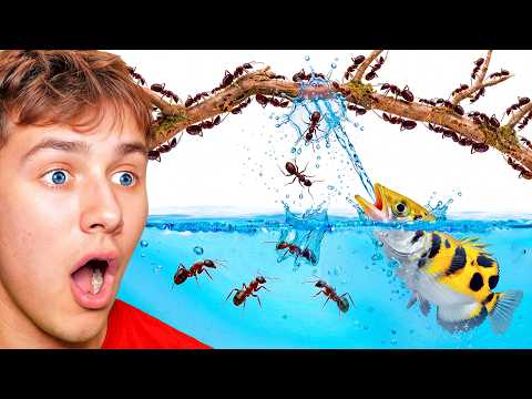 1,000 Ants Vs. Sniper Fish