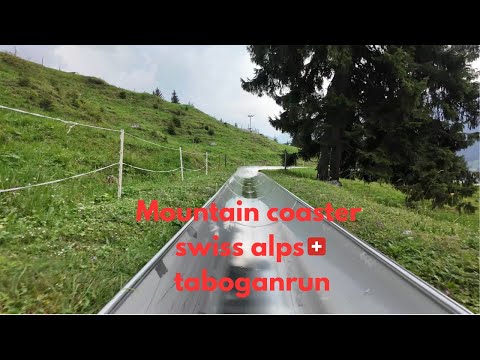 Switzerland, Toboggan Ride in the Swiss Alps, Adventure! Grindelwald Rodelbahn Pfingstegg #trending 