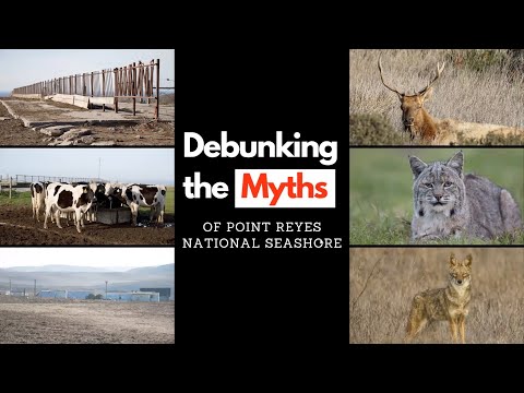 Debunking the Myths of Point Reyes National Seashore