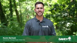 Maintaining Tall Fescue In Nashville