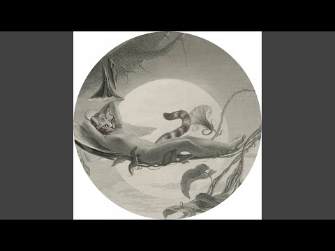 Everybody Sing (Cole's Knuckles Tribute Mix)