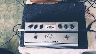 Rocktron Silver Dragon - What To Know & Where To Buy | Equipboard