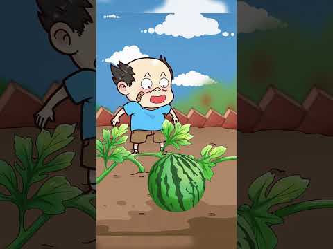 LE CYCLE DE LA VIE LE PLUS DÉGOÛTANT ! 😂💩