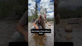 How to clean a Trout without a Knife! #flyfishing #flyfisherman #catchandcook