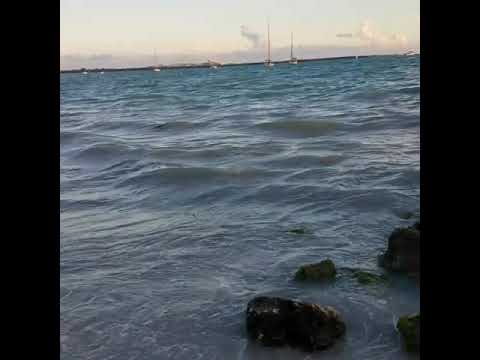 Luz Marina Echavarria. Descanso para el alma