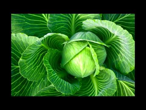 James Acaster's cabadging update - Classic Scrapes