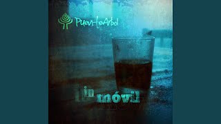 Cover art for Muero Feliz