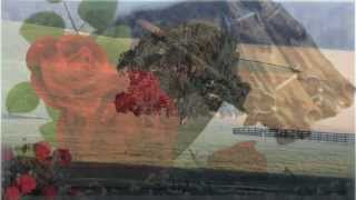 Run For The Roses ~ Dan Fogelberg (HD)