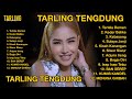 TARLING TENGDUNG | ANIK ARNIKA 2024