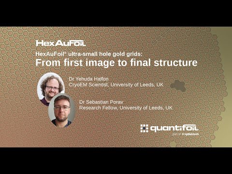 Webinar - HexAuFoil® ultra-small hole gold grids: From first image to final structure