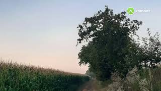 von Pönitz nach Seehausen 25 August 2021