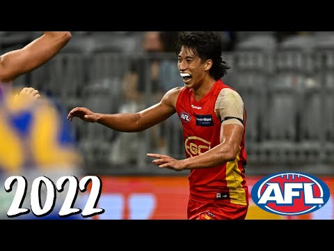 Alex Davies 2022 AFL Highlights