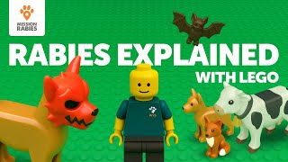 Rabies explained in LEGO