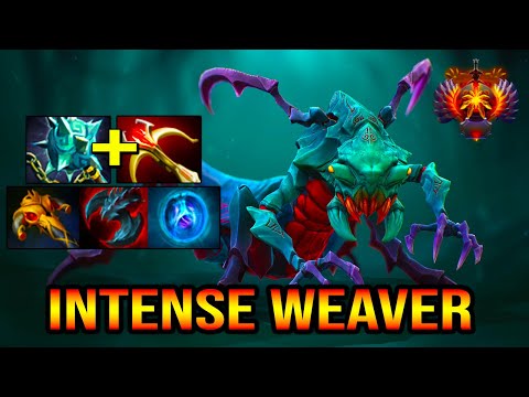 INTENSE 30SAVAGE [ Weaver ] UNSTOPPABLE CARRY - FULL FIGHT