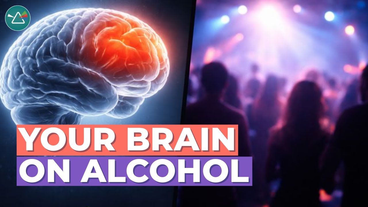The Science of Alcohol: Effects on the Brain & Body