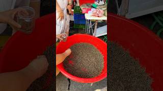 UM MERCADO DE ANINAIS EXÓTICOS NA CHINA! #china #vidareal
