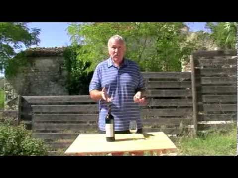 Italy Vino 33. Lacrima di Morro D'Alba