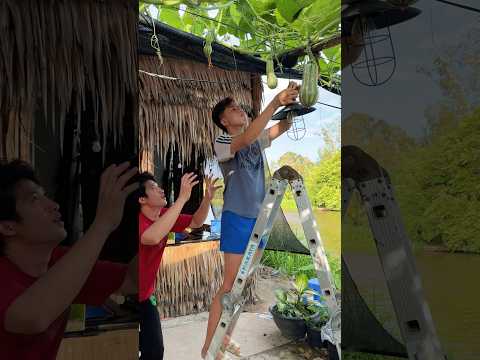 Giật mình #funny #shortvideo