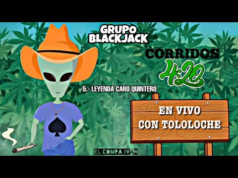 Leyenda Caro Quintero - Grupo BlackJack (Corridos 420 En Vivo Con Tololoche)