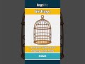 birdcage - a container with bars for... video thumbnail