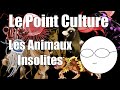 Point Culture : les Pokemon de la vraie vie