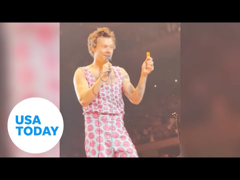 Fan throws chicken nuggets to Harry Styles USA TODAY shorts