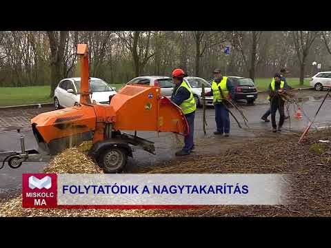 Videó előnézet