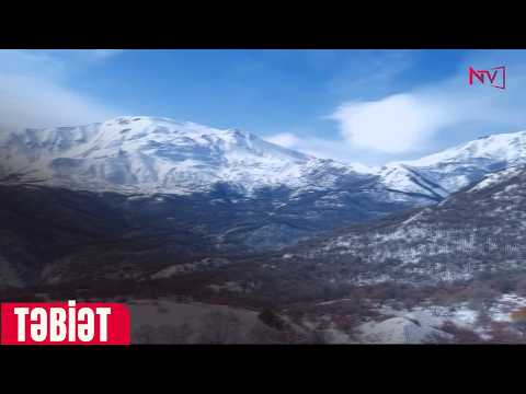 TƏBİƏT 04.02.2026