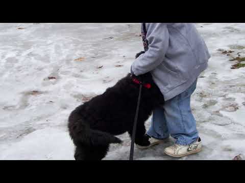 Someplace - There's beauty everywhere, in the air and how you care