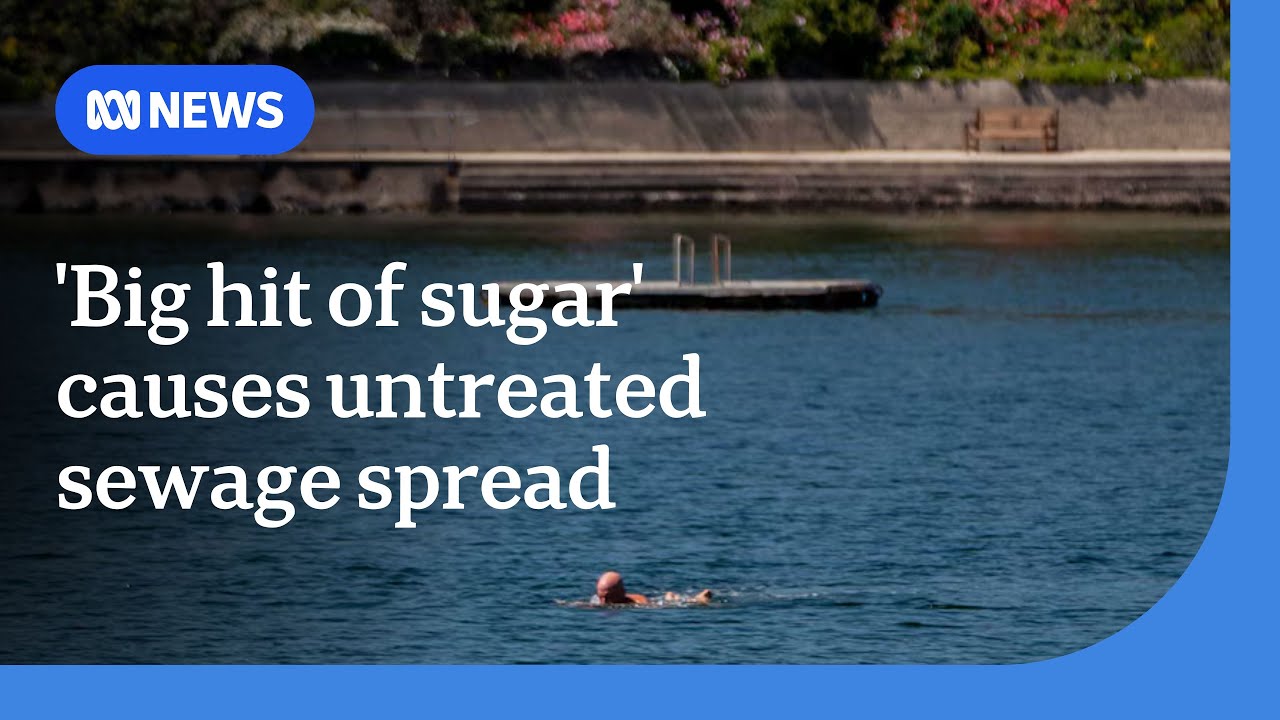 How bad can a 'big spike of sugar' be? Untreated sewage spill stops Hobart swimmers | ABC NEWS