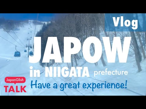 Real powder snow "JAPOW" at Naeba Ski Resort!  #japow #skiresort #japantravel  #japanesesnow