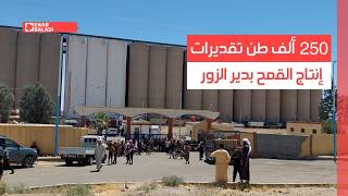 250 ألف طن تقديرات إنتاج القمح بدير الزور