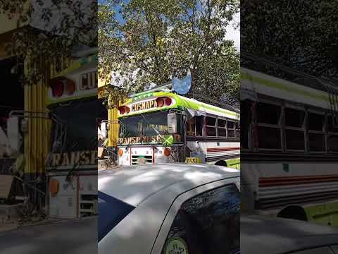 VIAJES A CUSMAPA, EL MUNICIPIO MAS ALTO DE MADRIZ. #buses #transportepublico