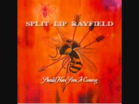 Split Lip Rayfield - Honestly