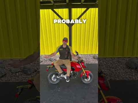 2025 Honda Grom- FUN in a small Package! #grom #hondagrom #bikereview