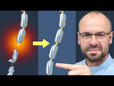 How to regenerate the NERVOUS SYSTEM.